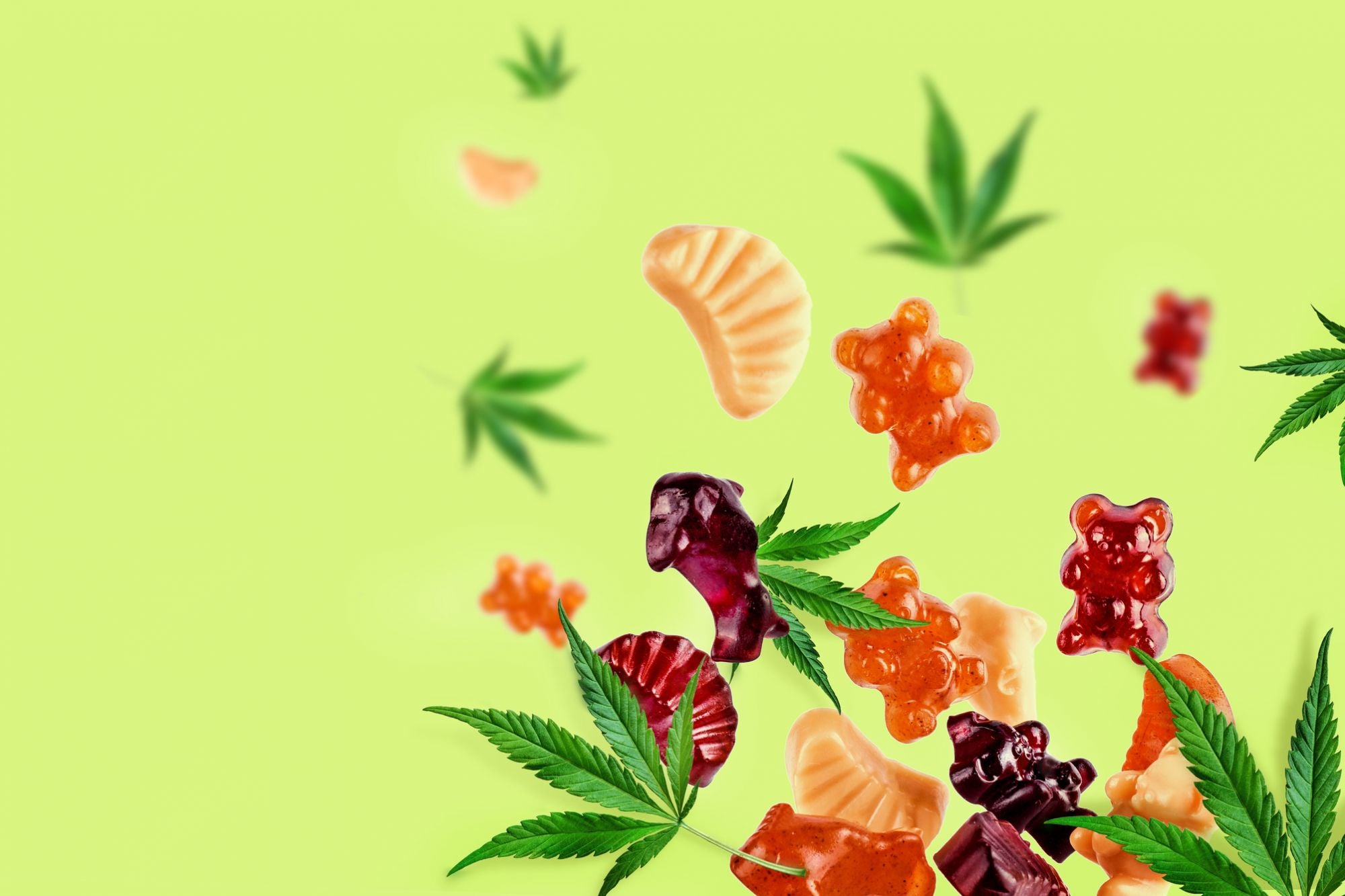 An Overview On CBD Gummies And The Role It Plays As A Health Supplement